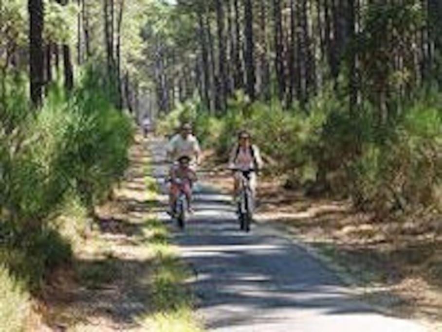 Maison De 4/5 Personnes A Leon, Landes Holiday home Leon